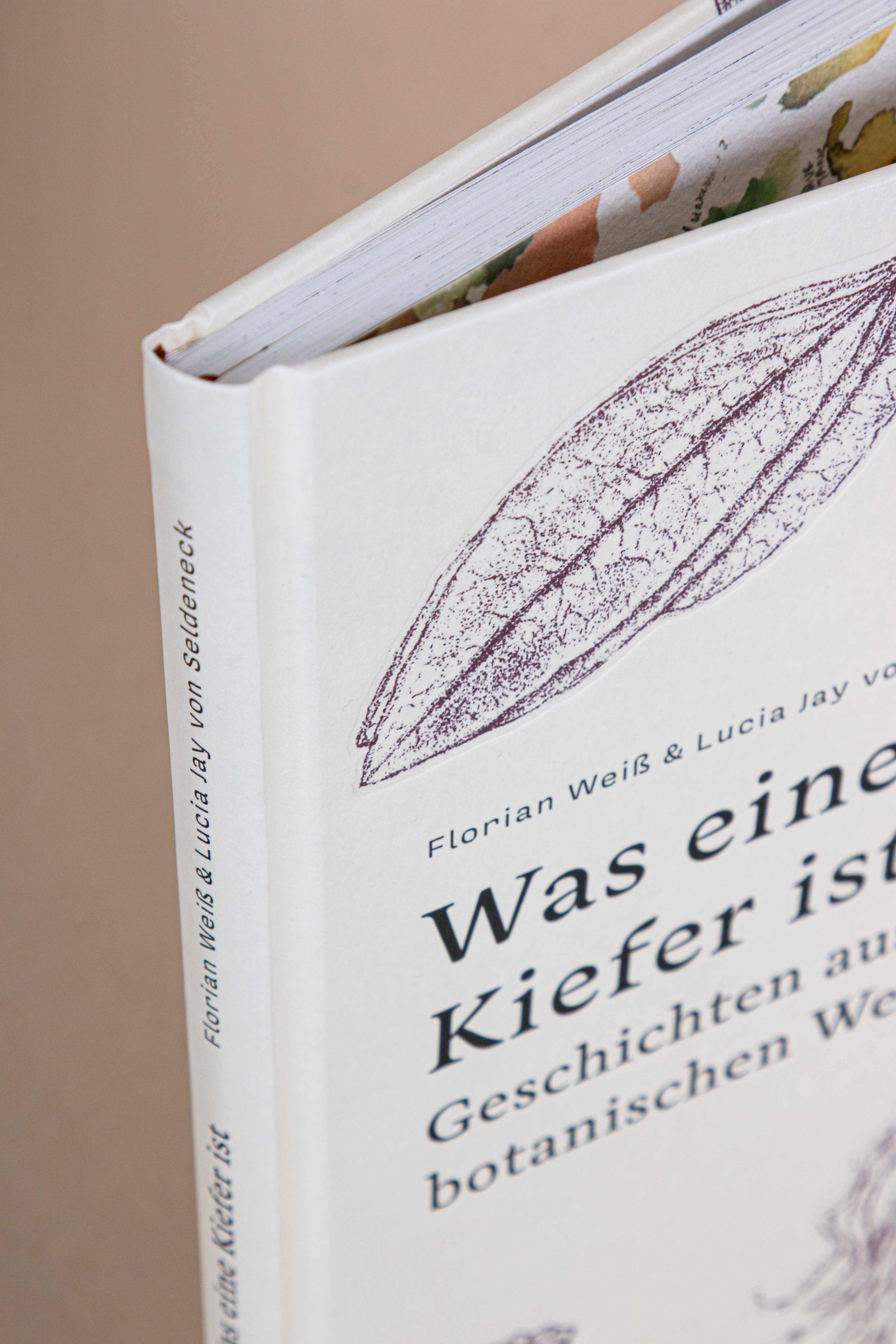 Close-up of the spine of a white book titled Was eine Kiefer ist with botanical leaf illustrations.